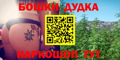 ALPHA PVP Гай