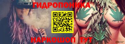 спайс Гатчина